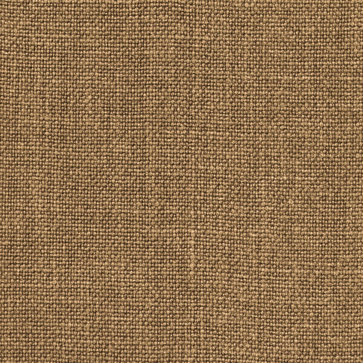 Leon Dark Gold
