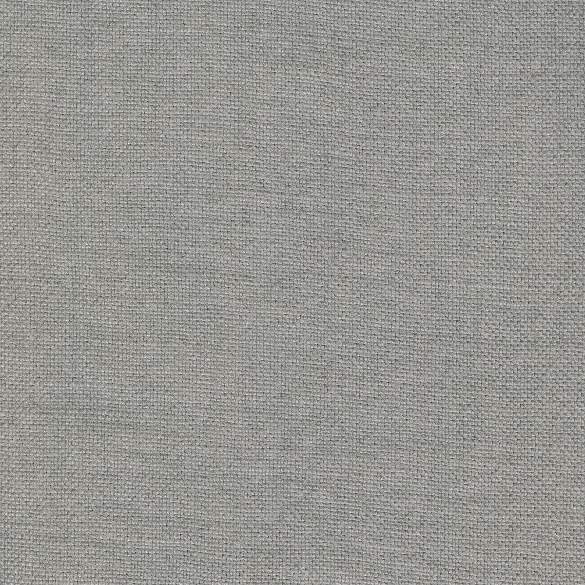 Modeste March Wind