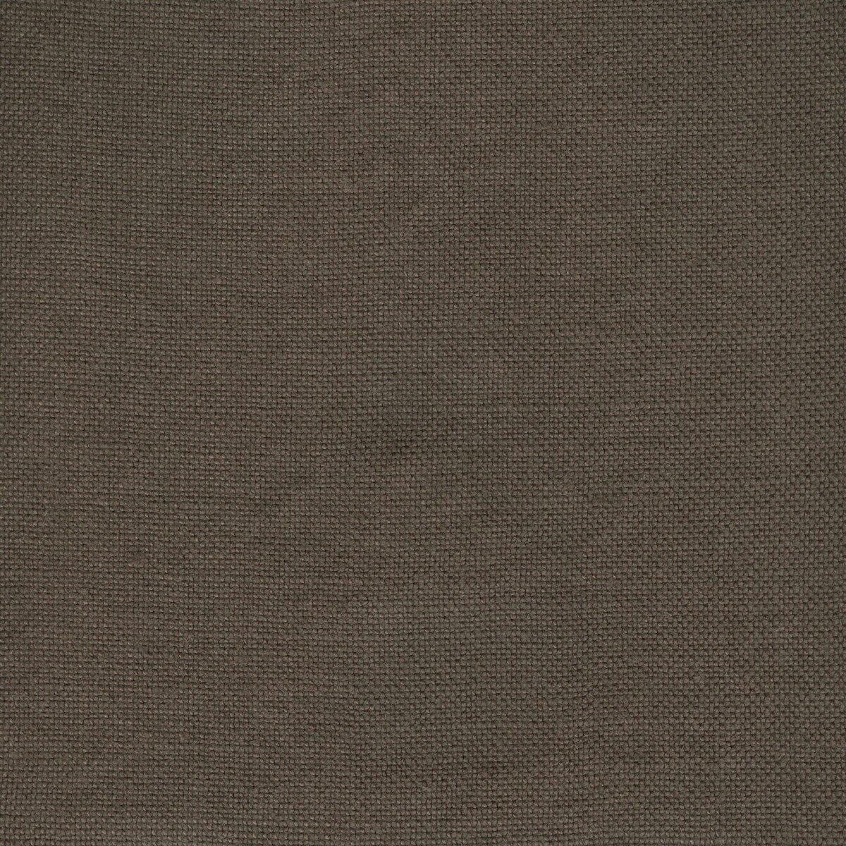 Modeste Mockingbird