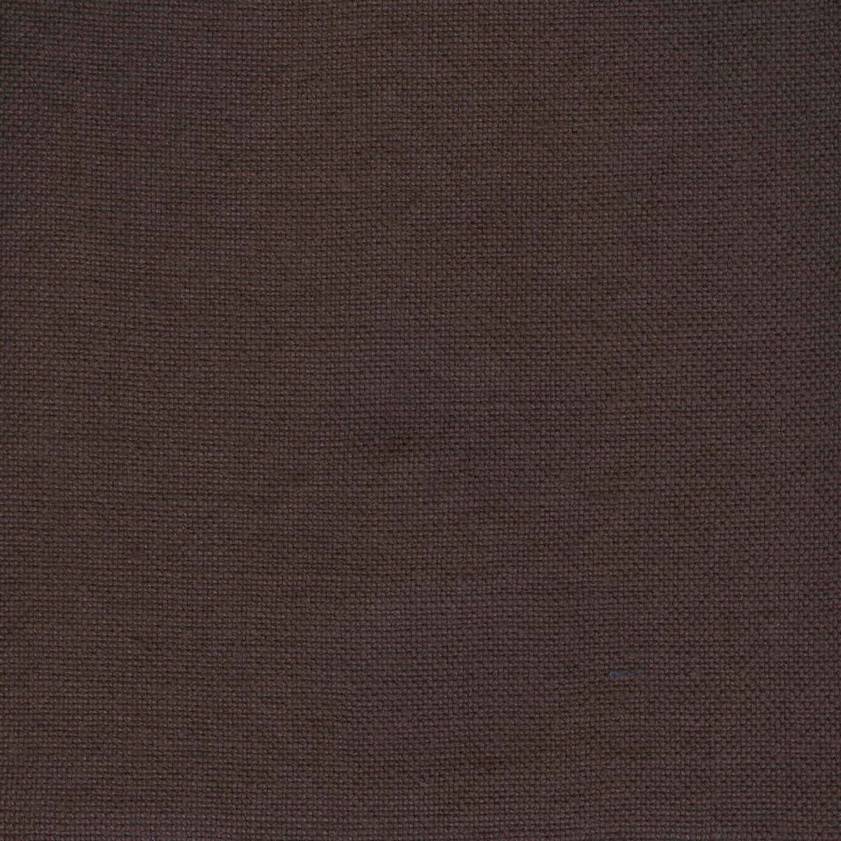 Modeste Mulberry