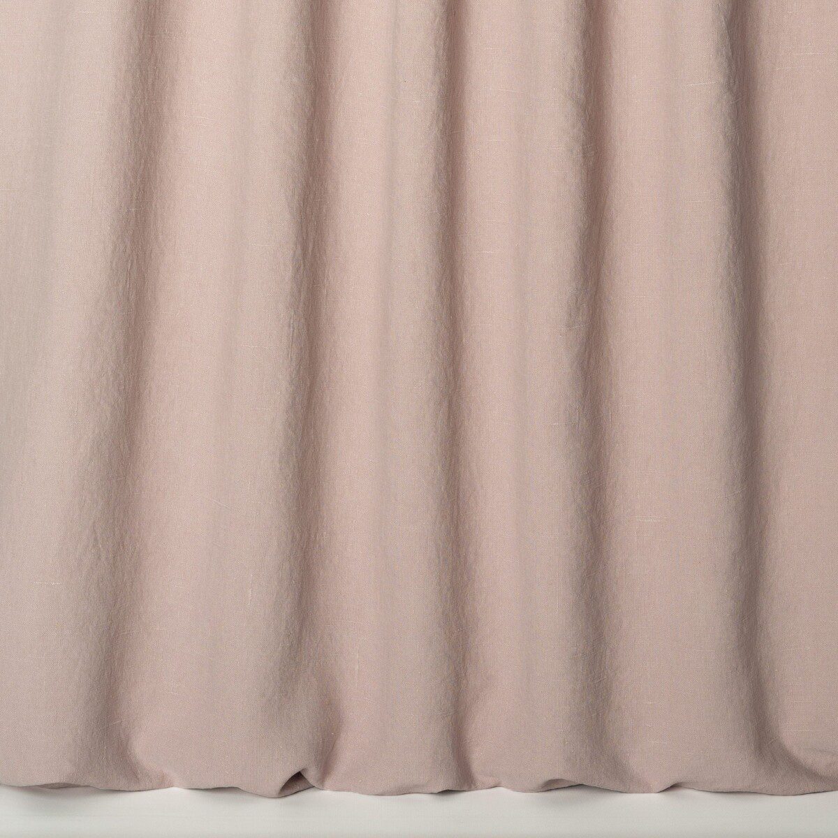 Modeste Musk Rose
