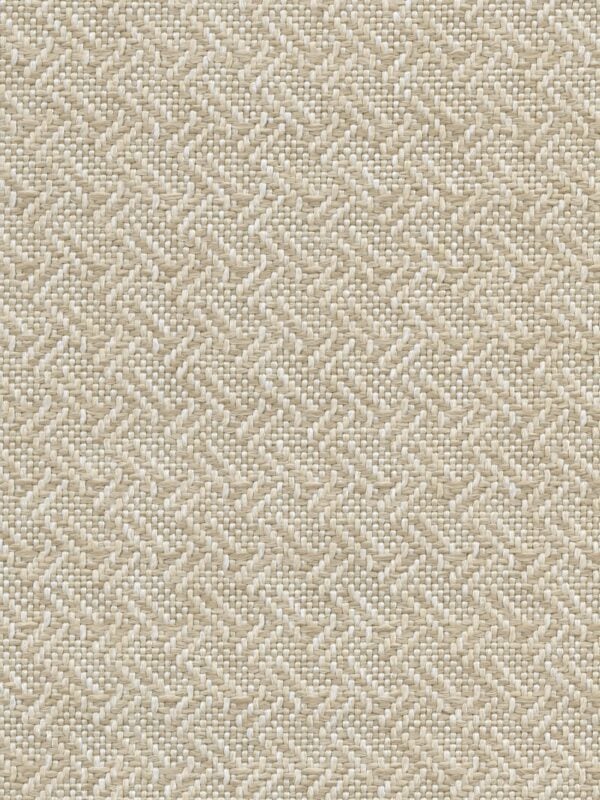 Cesar | 8 Colours