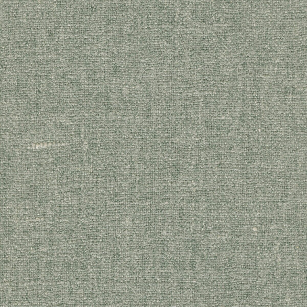 Octave Forest