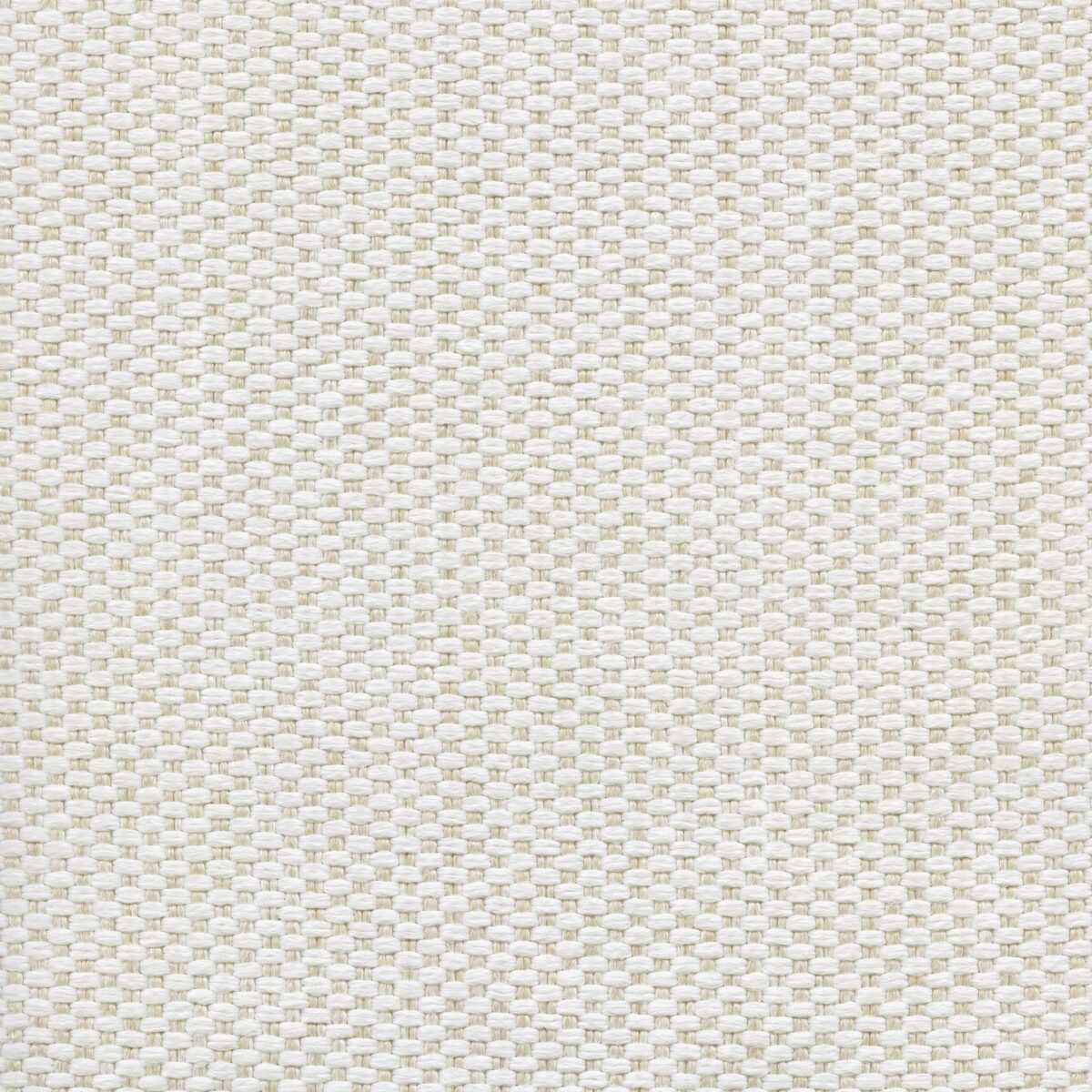 Popeye 001 | 2 Colours