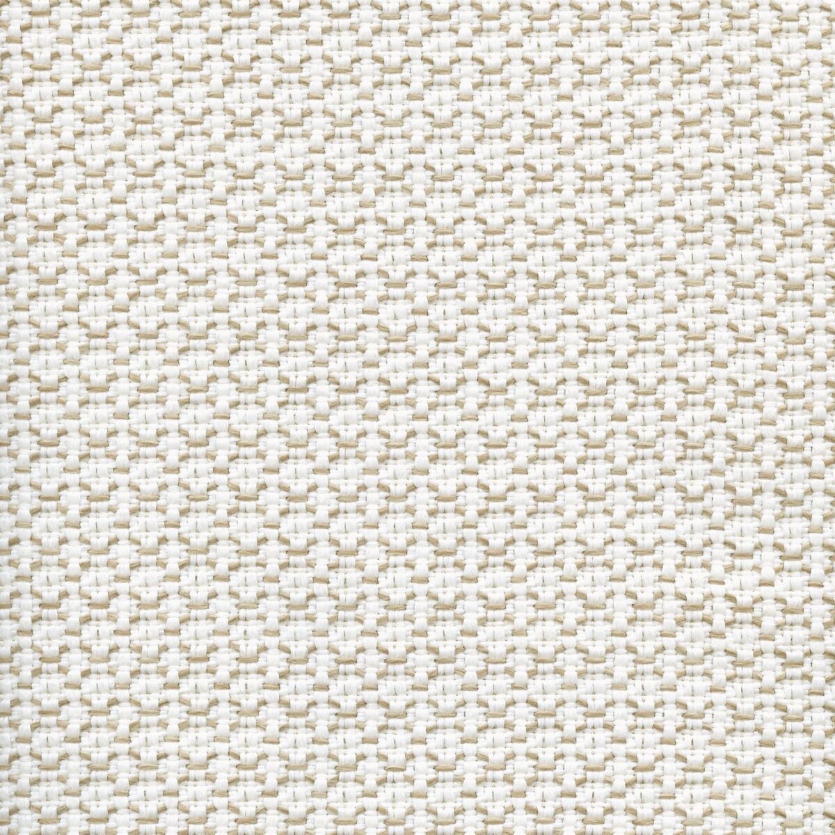 Popeye 002 White