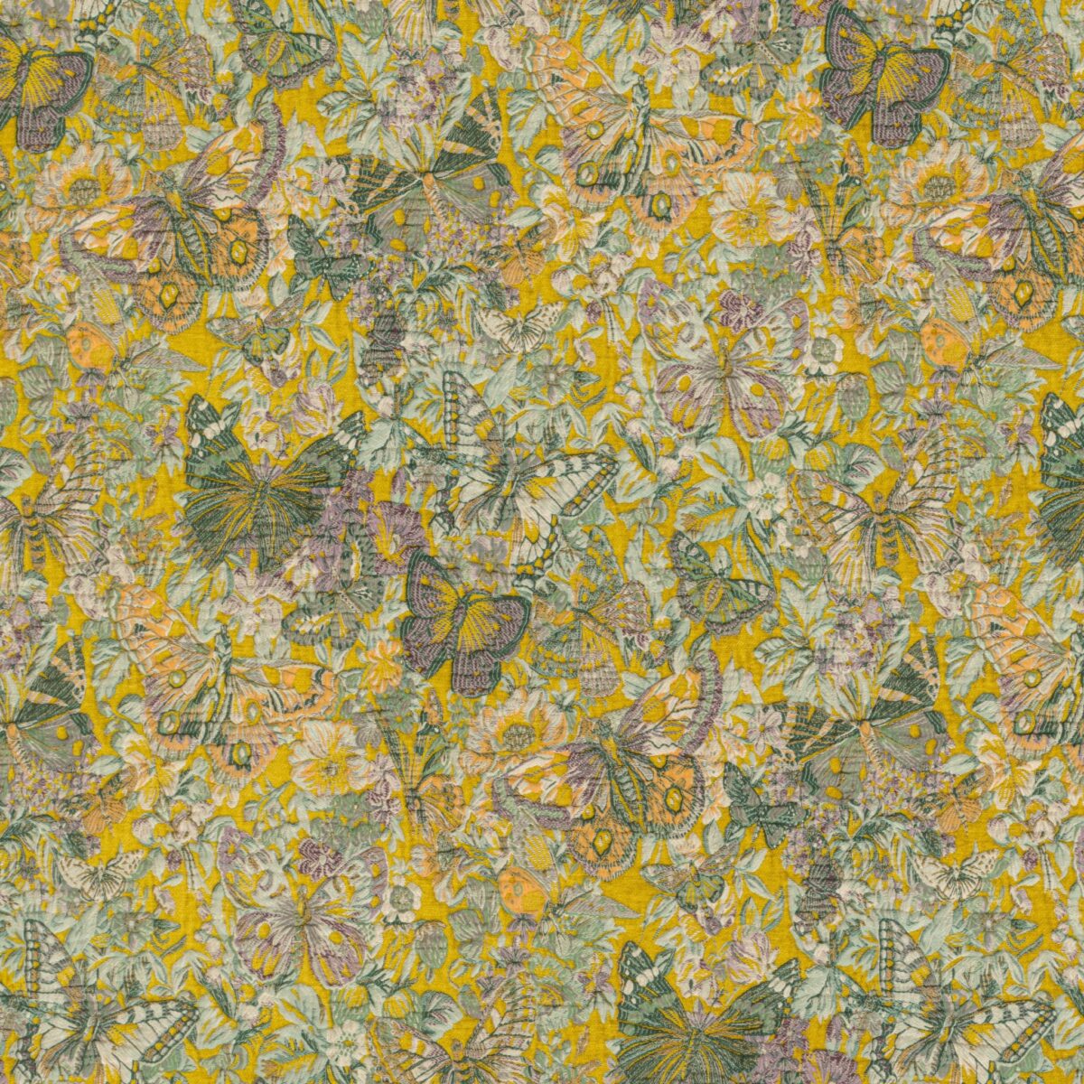 Poppy Riverstone