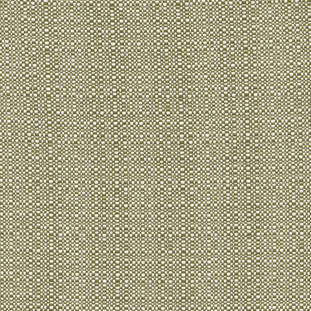 Alice | 7 Colours