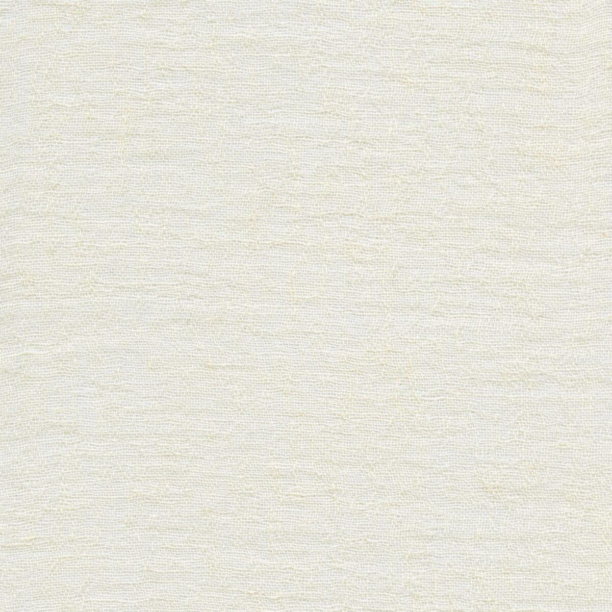 Rose Ghost White