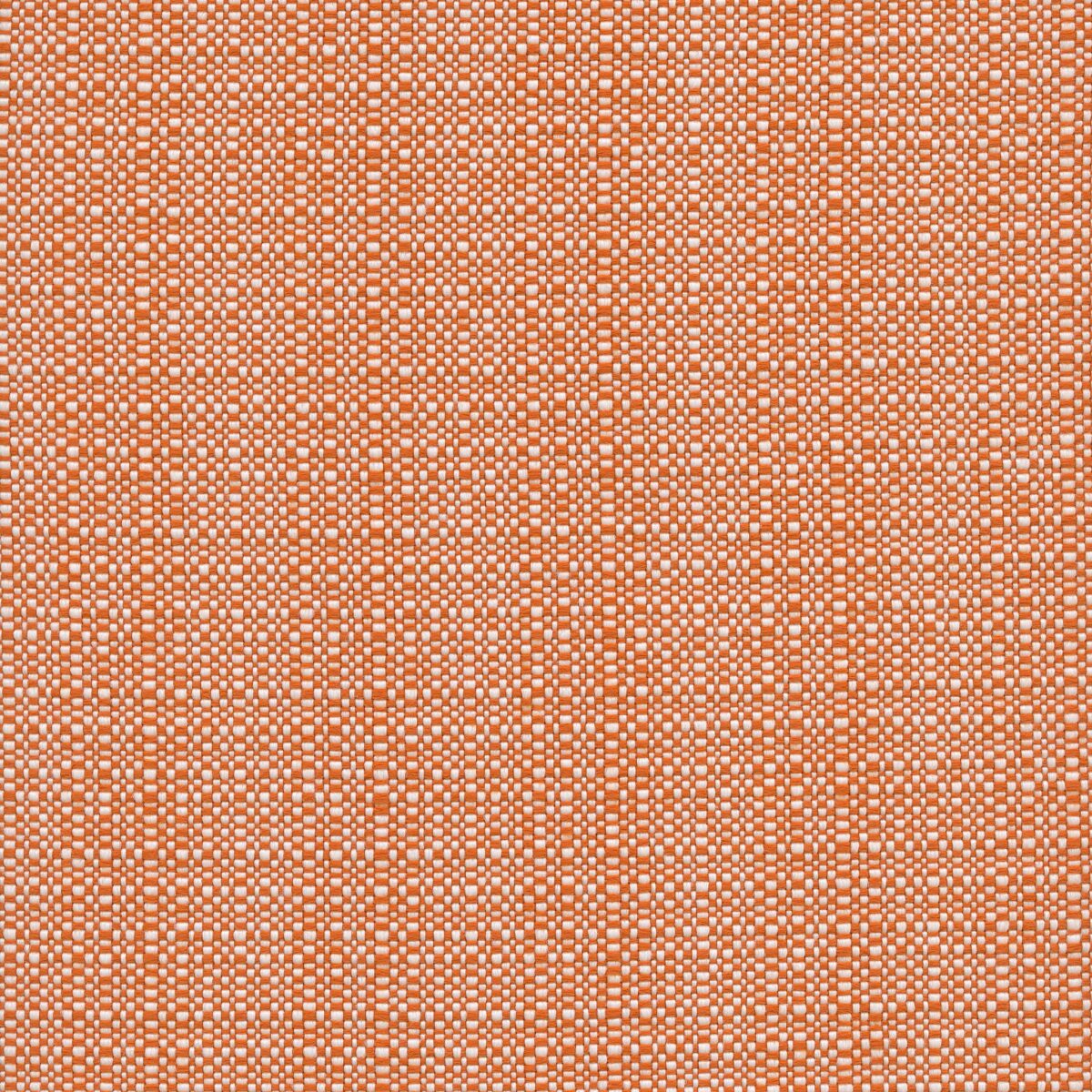 Alice Rust