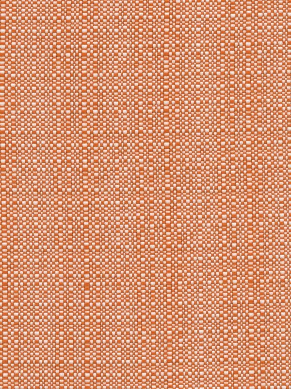 Alice Rust