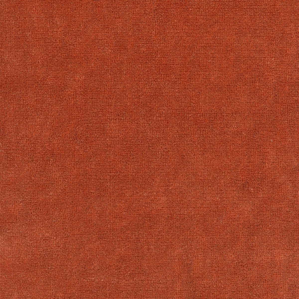 Sylvestre Allspice