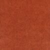Sylvestre Allspice