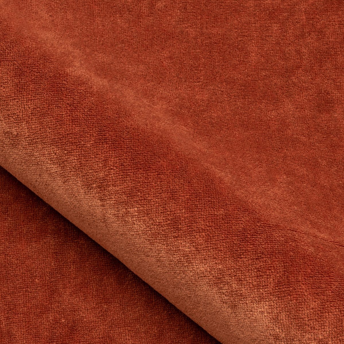 Sylvestre Allspice