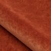 Sylvestre Allspice