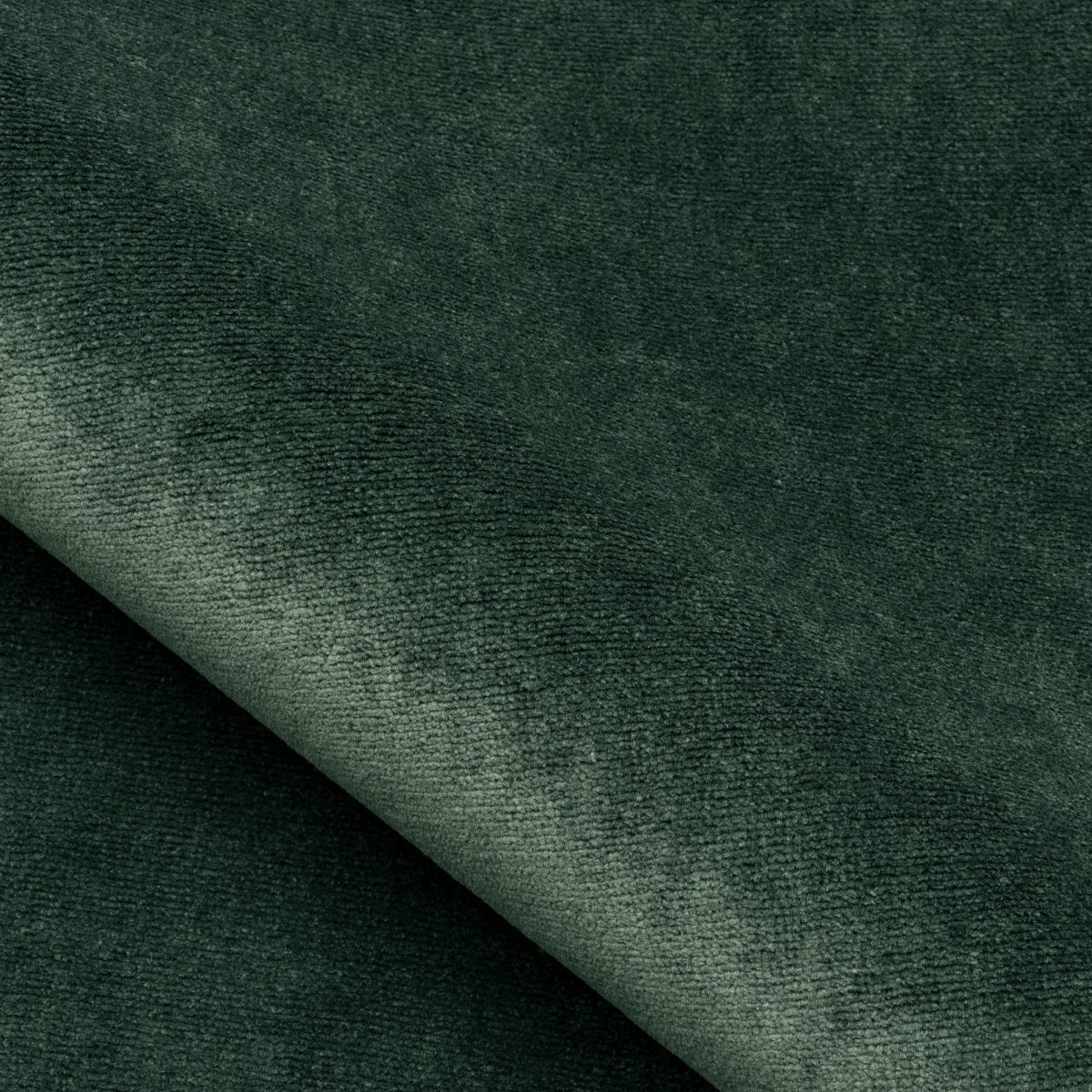 Sylvestre Khaki