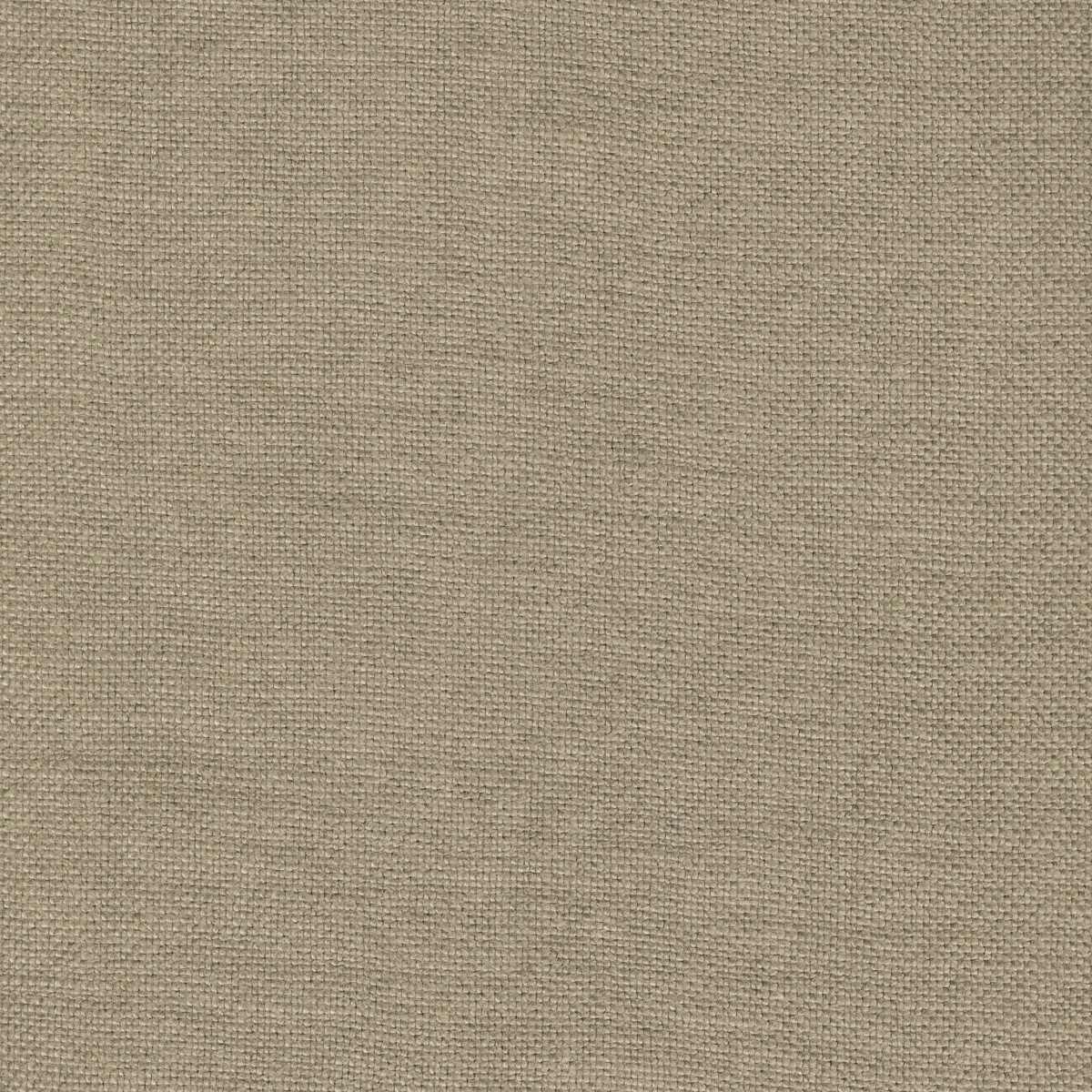 Modeste Taupe
