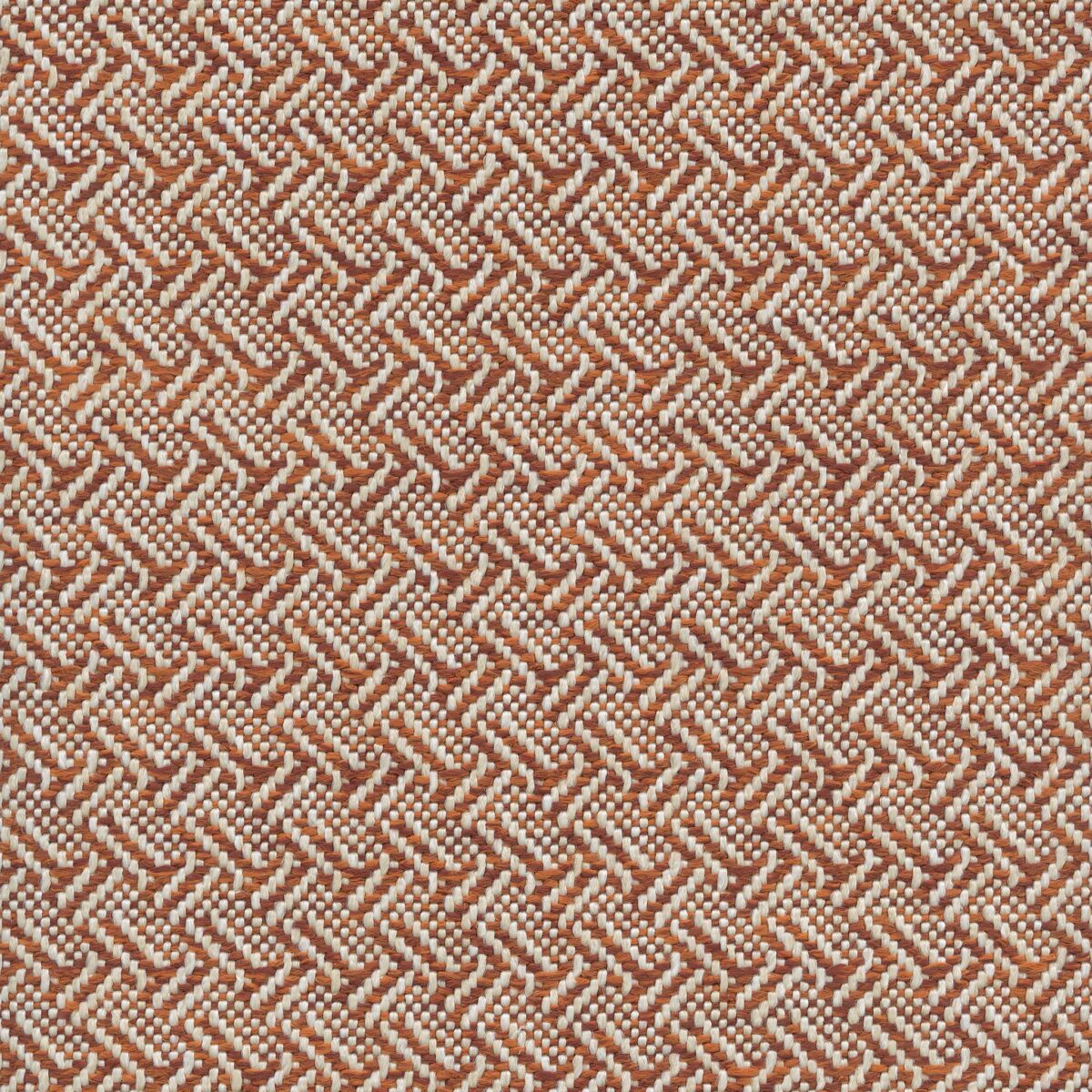 Cesar Terracotta