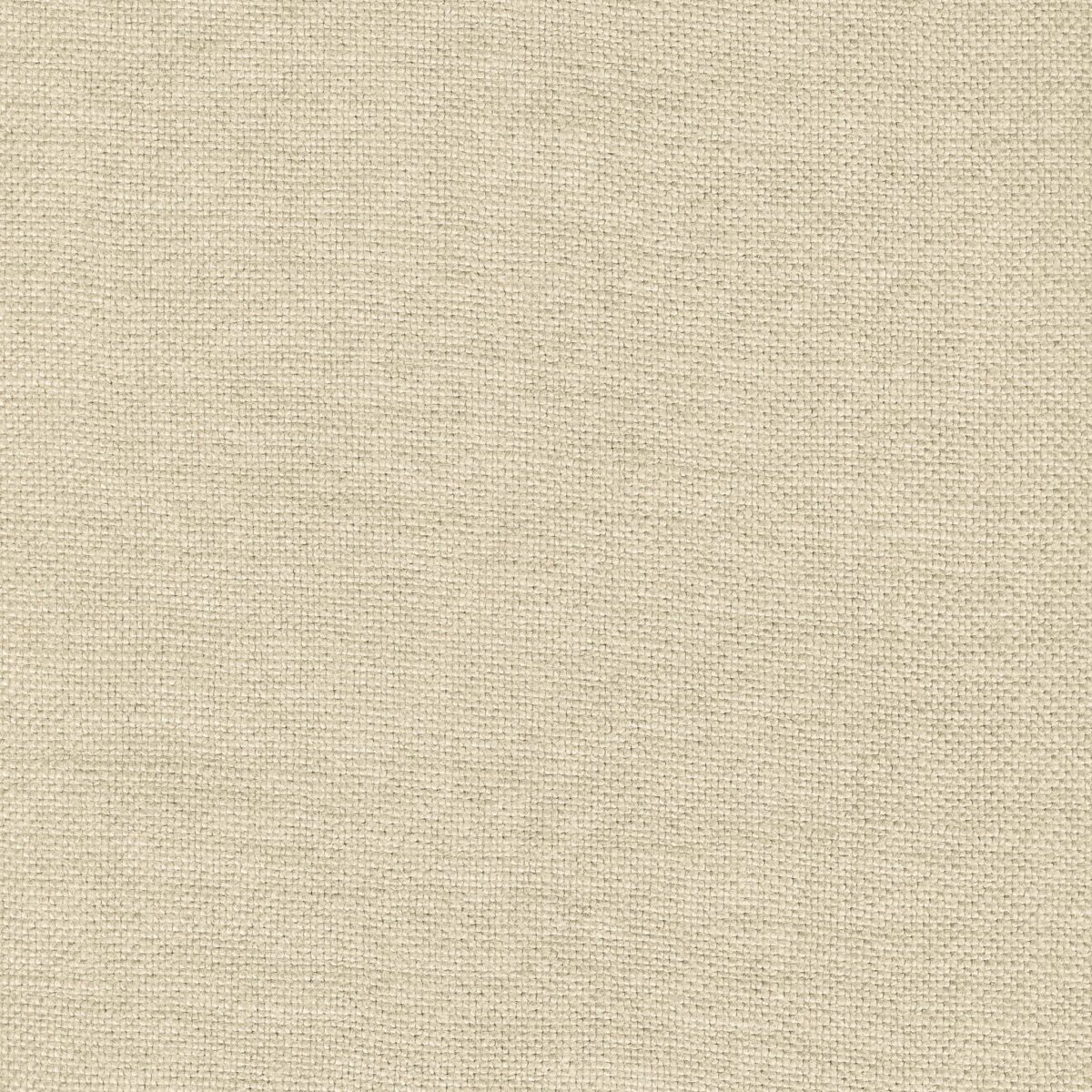 Modeste | 28 Colours