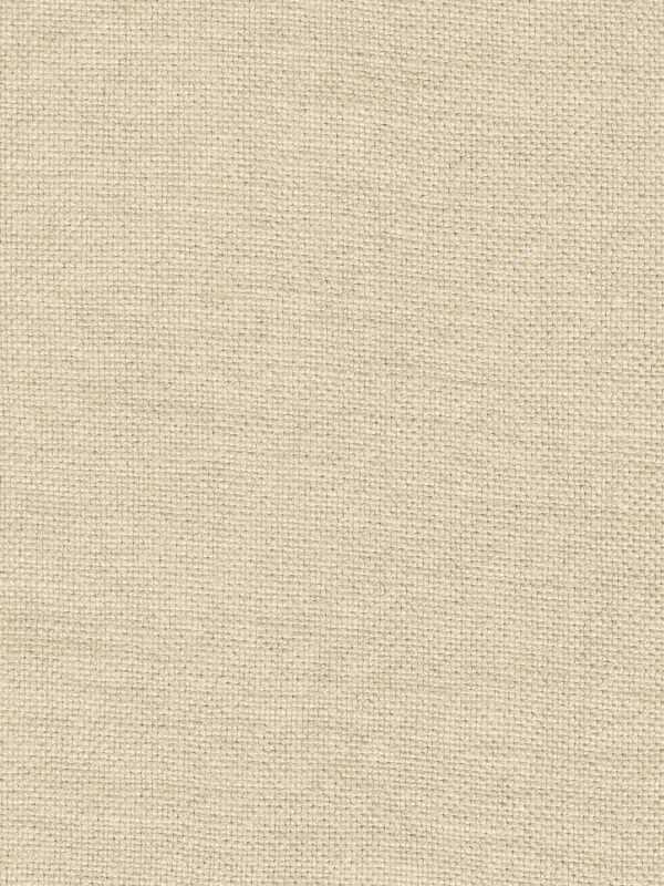 Modeste | 28 Colours