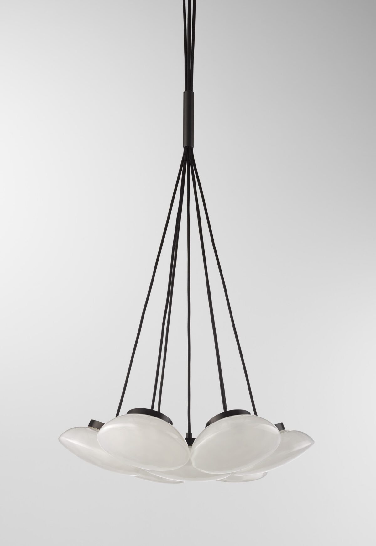 Ceto Cluster | 7 Shades