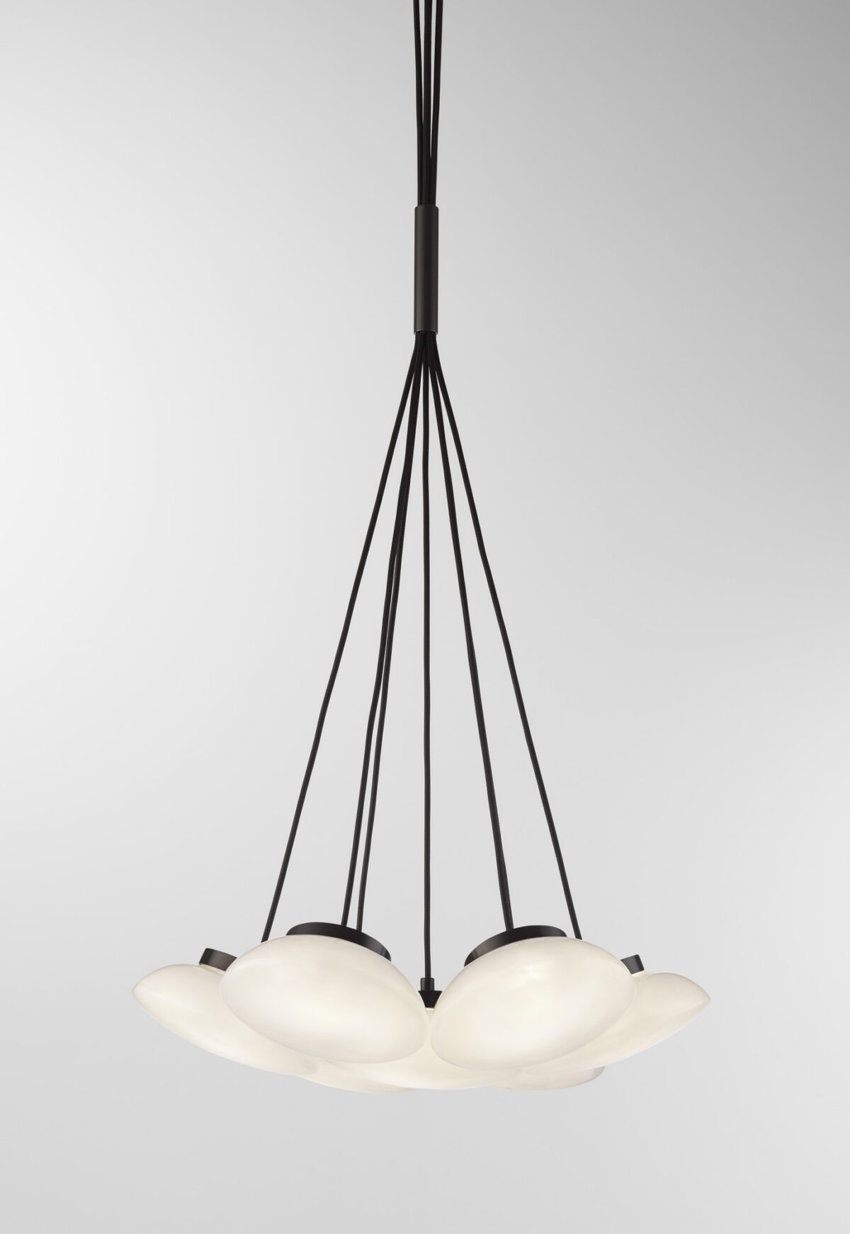 Ceto Cluster | 7 Shades