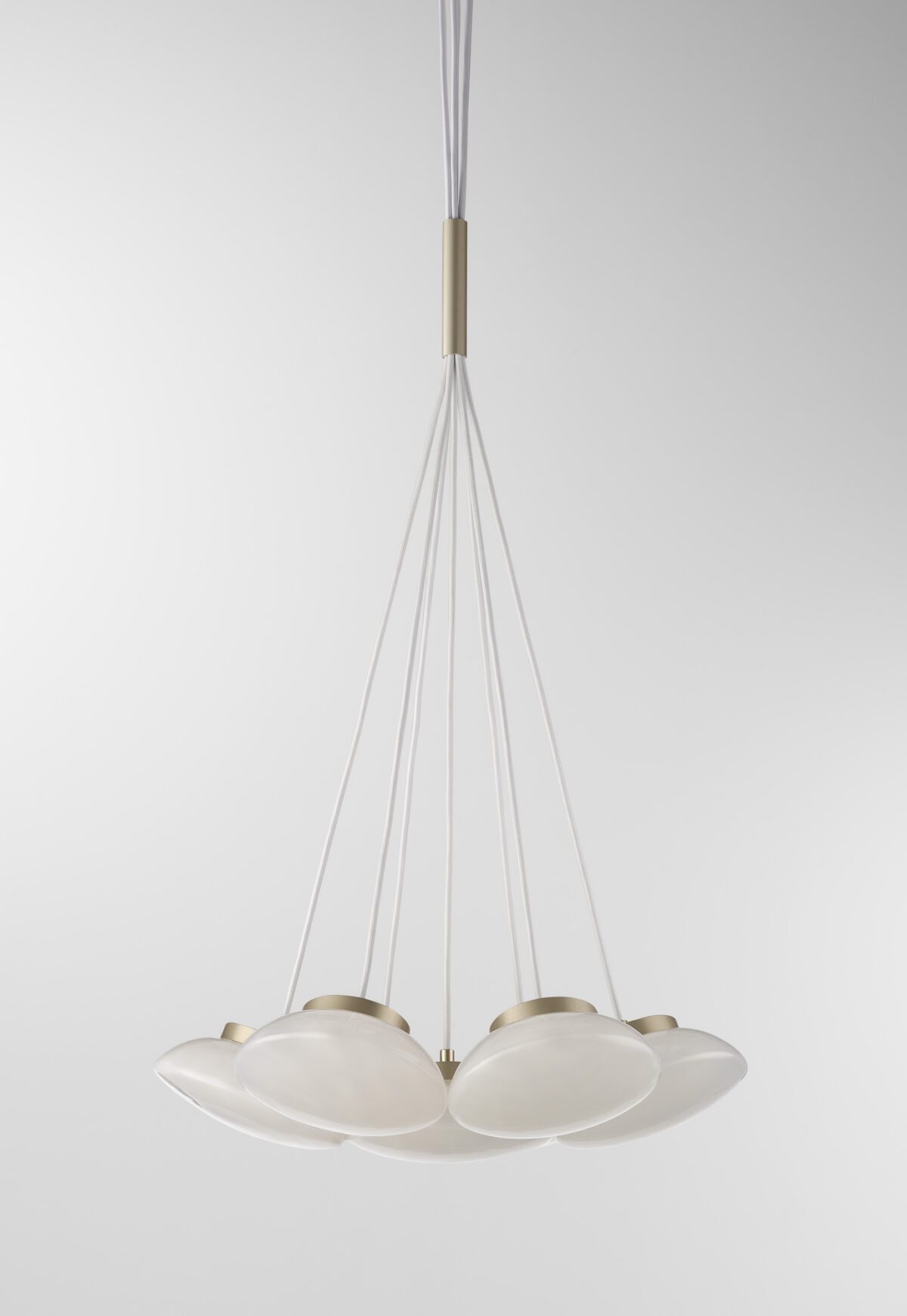 Ceto Cluster | 7 Shades