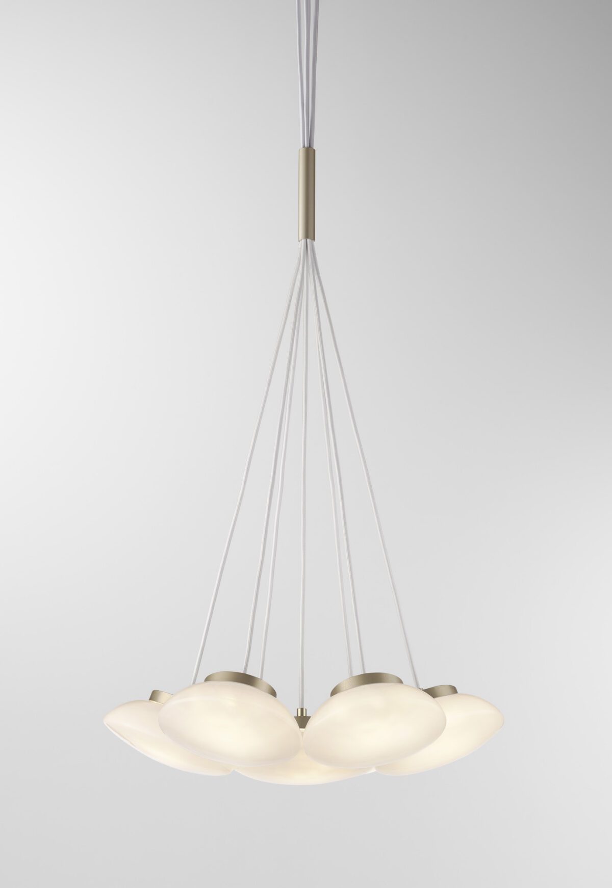 Ceto Cluster | 7 Shades