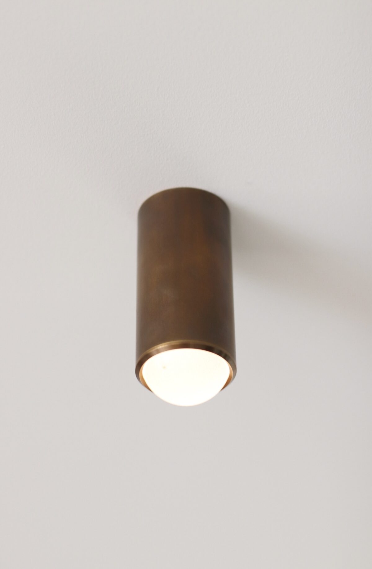 Surveillance Downlight