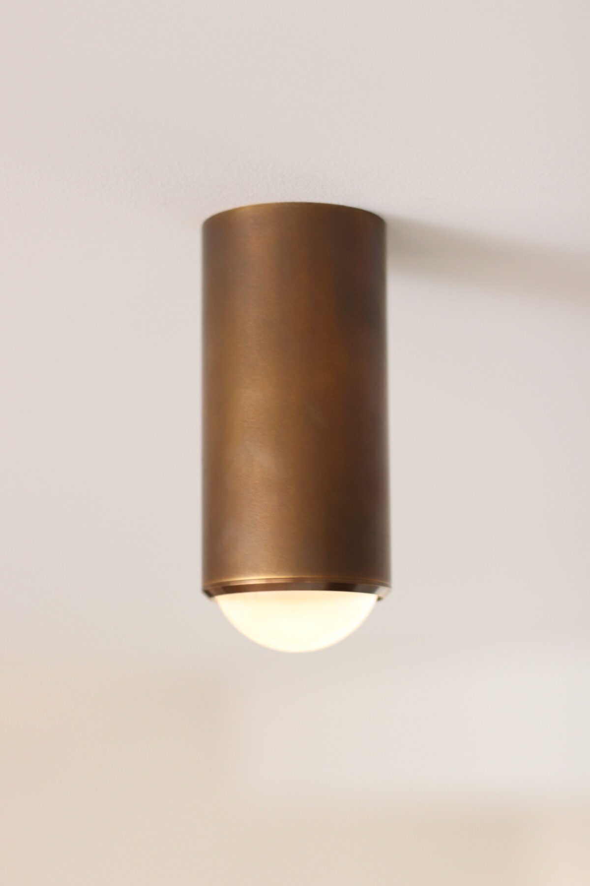 Surveillance Downlight