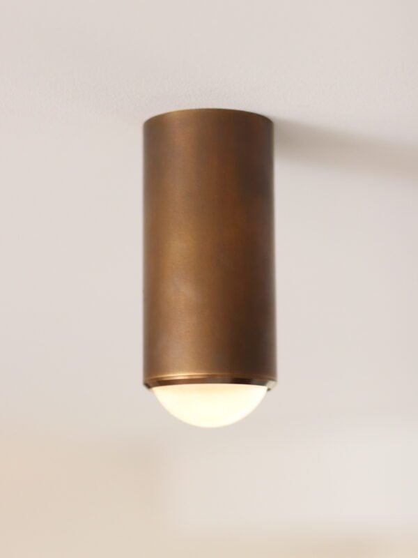Surveillance Downlight