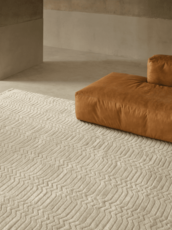 Savannah | 3 Colours