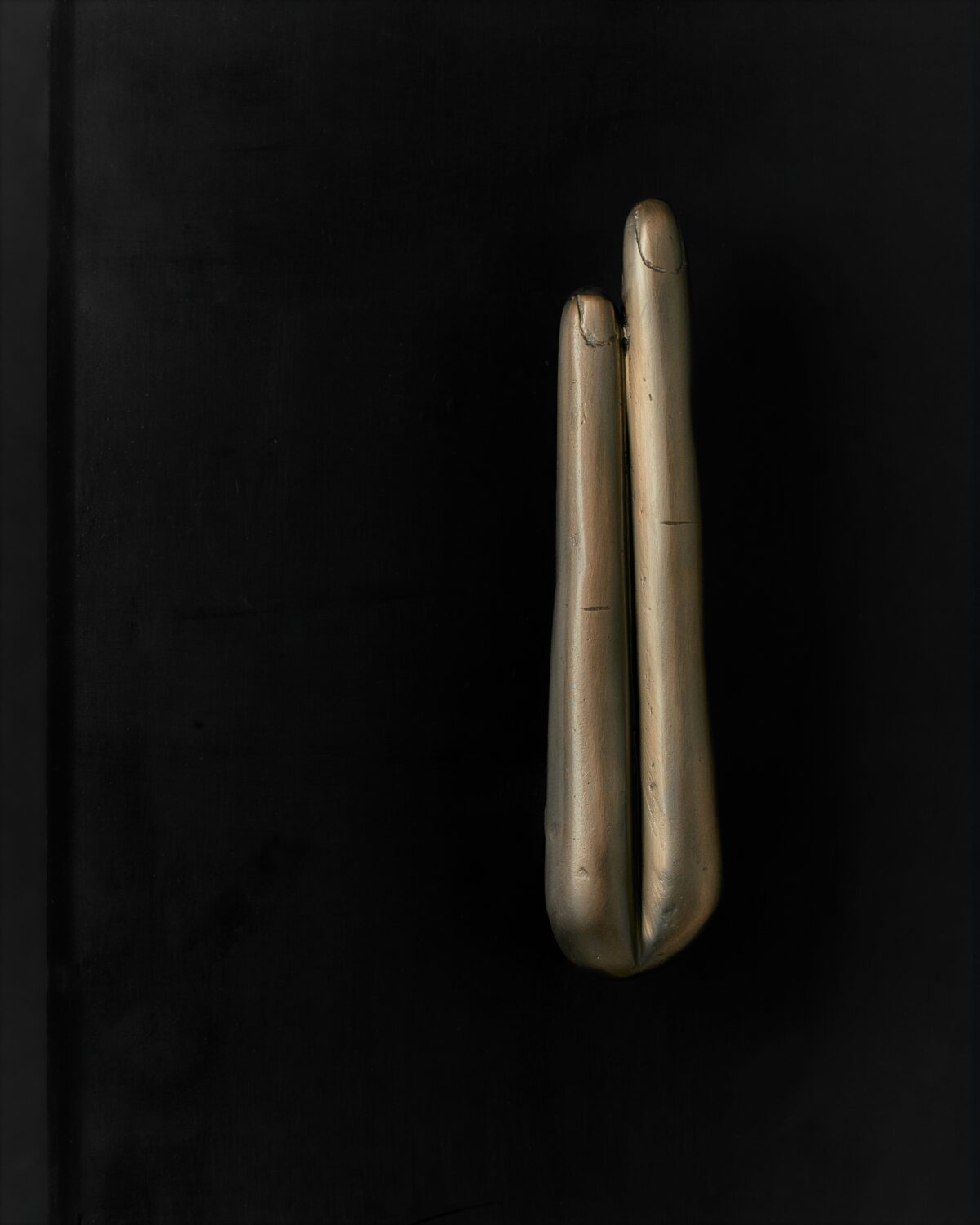 Amulet Door Pull