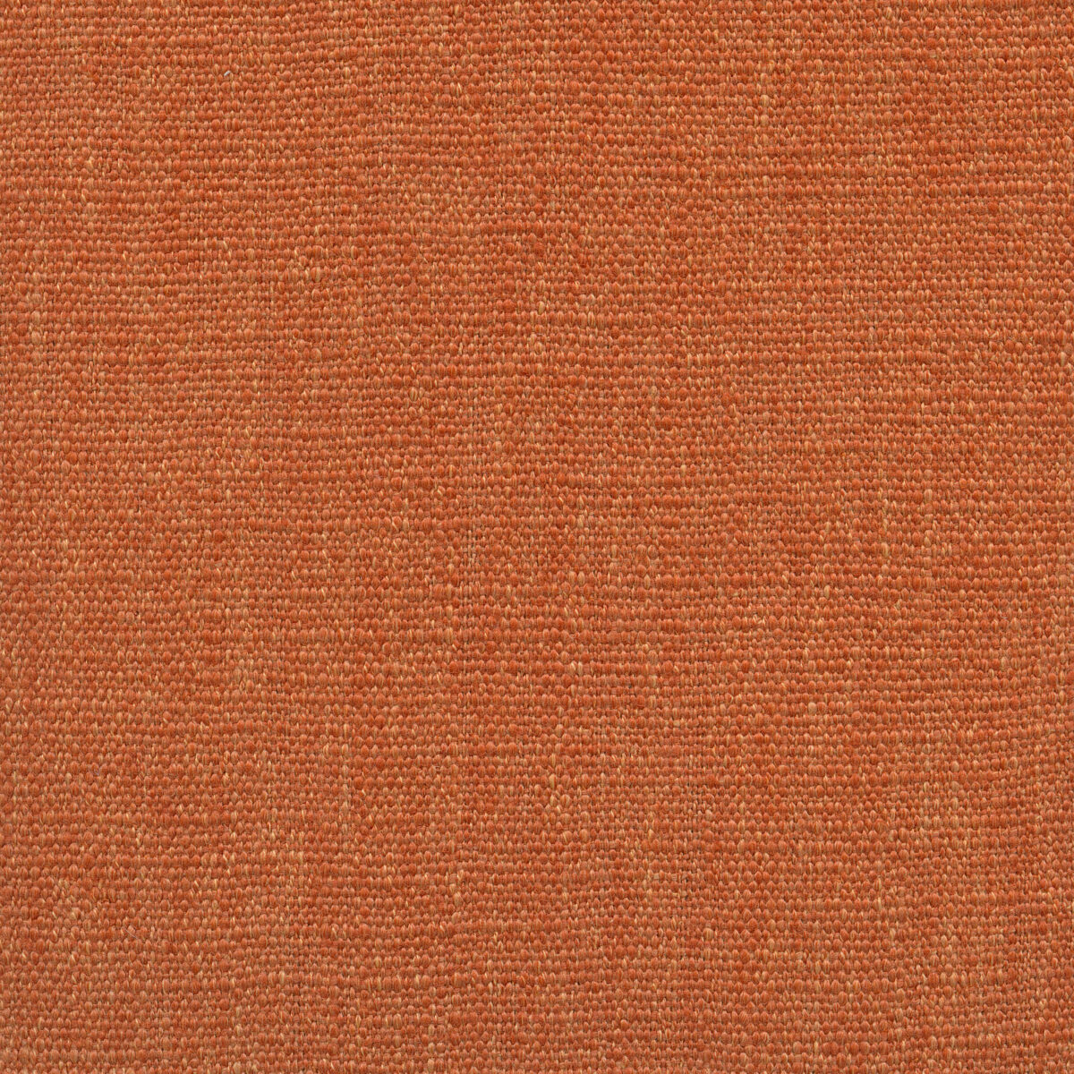 Jeremie | 15 Colours