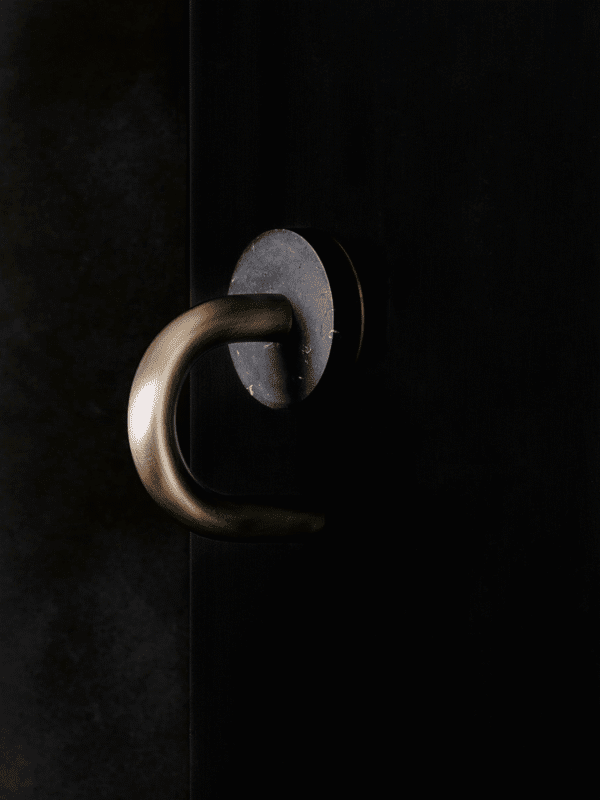 Ovid Door Pull