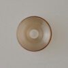 Blown Glass Anton Wall Sconce