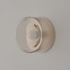 Blown Glass Anton Wall Sconce