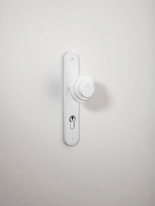 Zzzigurat Door Lever Oval Backplate