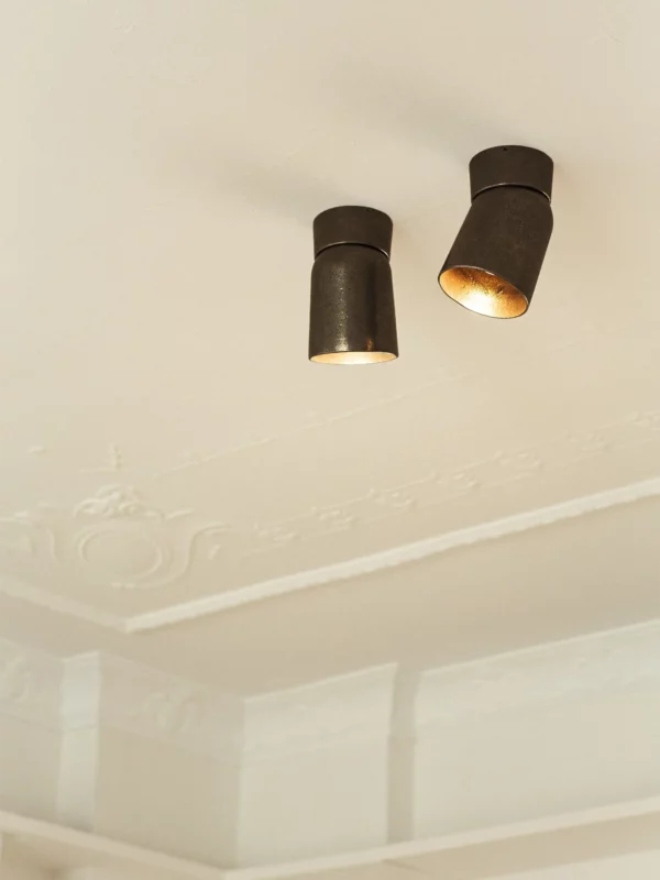 Spot Light - Ceiling Mounted, Blackened