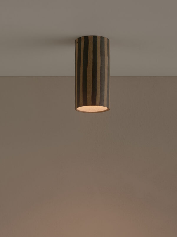 Dancer Ceiling Mounted